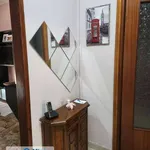 Rent 3 bedroom apartment of 100 m² in Pavia