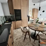 Rent 2 bedroom apartment of 40 m² in Poznań