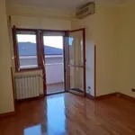 Rent 3 bedroom apartment of 65 m² in Roma