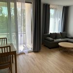 Rent 2 bedroom apartment of 51 m² in München