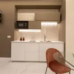 Rent 1 bedroom apartment in milan