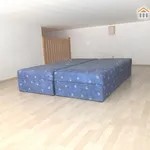 Rent 1 bedroom apartment of 46 m² in Hradec Králové