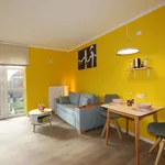 Rent 1 bedroom apartment of 398 m² in Dresden