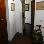 Rent 3 bedroom student apartment of 45 m² in Firenze