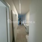 Rent 3 bedroom apartment of 85 m² in Bologna