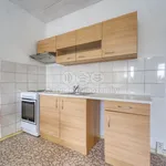 Rent 1 bedroom apartment of 33 m² in Plzeň