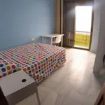 Rent 8 bedroom apartment in Seville