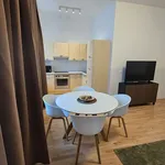 Rent 1 bedroom apartment of 550 m² in Vienna