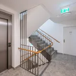 Zimmer von 53 m² in Vienna