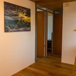 Miete 1 Schlafzimmer wohnung von 76 m² in Ingolstadt