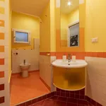 Rent 1 bedroom apartment in Rome