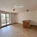 Rent 1 bedroom apartment of 40 m² in Plzeň