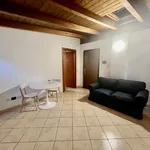 Rent 2 bedroom apartment of 55 m² in milan