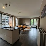 Rent 2 bedroom apartment in MORTSEL