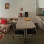 Alquilo 1 dormitorio apartamento de 45 m² en Elx / Elche