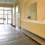 Rent 2 bedroom apartment of 55 m² in Turin