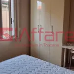 Rent 1 bedroom apartment of 20 m² in Pontedera