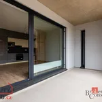 Pronajměte si 1 ložnic/e byt o rozloze 35 m² v Pilsen