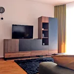 Rent 2 bedroom apartment of 53 m² in Katowice