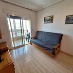 Alquilo 1 dormitorio apartamento de 45 m² en Torrevieja