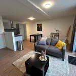 Huur 2 slaapkamer appartement van 50 m² in Kasteel West