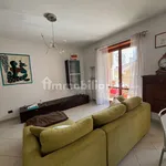 Rent 2 bedroom apartment of 75 m² in Turin