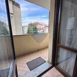 Rent 1 bedroom apartment of 45 m² in Legnano