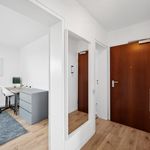 Rent 2 bedroom apartment of 47 m² in Ingolstadt