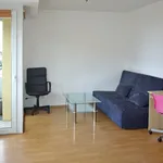 Rent 1 bedroom apartment of 32 m² in Brno