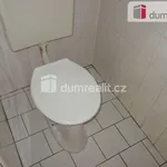 Rent 2 bedroom apartment of 38 m² in Břeclav