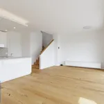 Pronájem domu 175m² s pozemkem 878m²