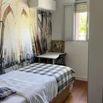 Rent a room in madrid