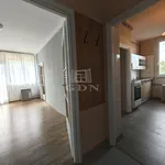 Rent 2 bedroom apartment of 50 m² in Miskolc