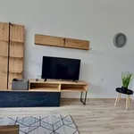 Rent 2 bedroom apartment of 70 m² in Остромила