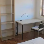 Rent 4 bedroom apartment in coimbra