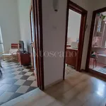 Rent 2 bedroom apartment of 60 m² in Brindisi