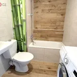 Rent 1 bedroom apartment of 19 m² in Trhový Štěpánov