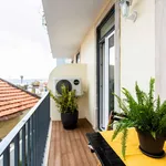 Rent 1 bedroom apartment in Lisbon