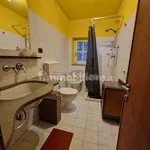 Rent 3 bedroom apartment of 80 m² in Capannori