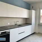 Rent 4 bedroom apartment of 124 m² in Turin