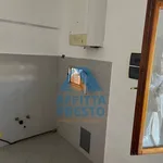 Affitto 2 camera appartamento di 50 m² in Pisa