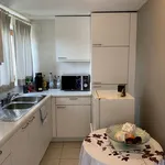 Rent 1 bedroom apartment in Zottegem