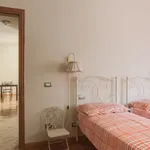 Rent 1 bedroom apartment of 58 m² in Florence