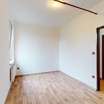 Pronájem byty 2+kk, 40 m2 - Chýnov