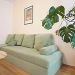 Rent 1 bedroom apartment of 47 m² in berlin