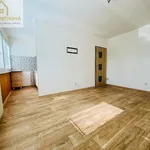 Rent 1 bedroom apartment in Hradec Králové