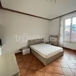 Rent 3 bedroom apartment of 75 m² in Biella