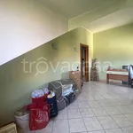 Rent 3 bedroom apartment of 70 m² in Nichelino