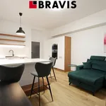 Rent 3 bedroom apartment of 76 m² in Brno