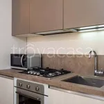 Rent 1 bedroom apartment of 35 m² in Milano